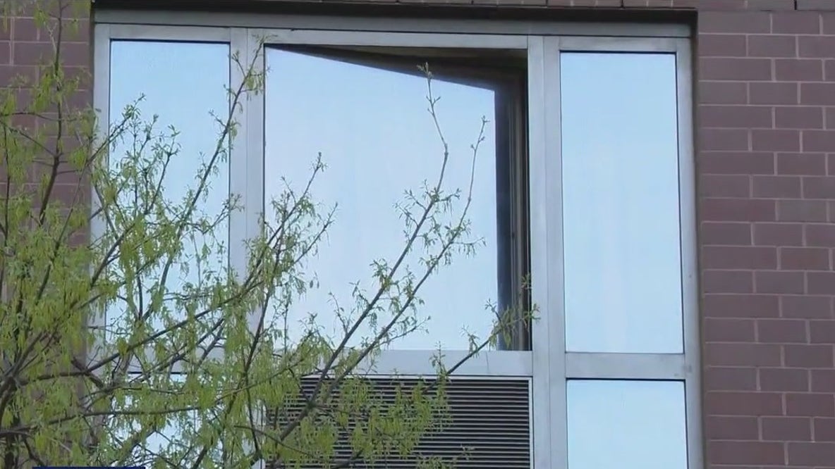 Williamsburg locals hit by bizarre window attacks